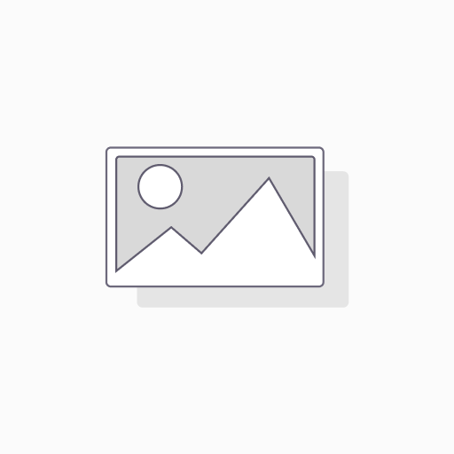 [V256978] *CASHBOOK*. MOI DOHODY I RAS-HODY. BIRJUZOVYJ
